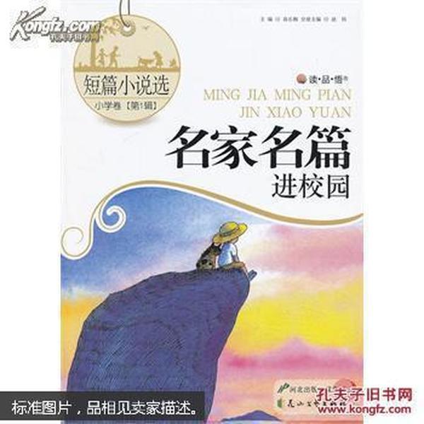 高级定制